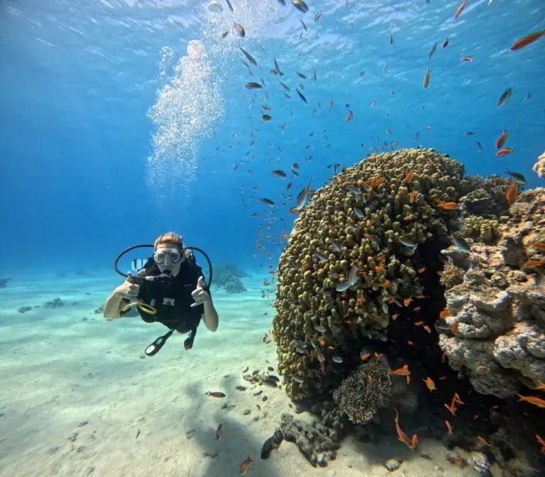 Coral Reef Diver