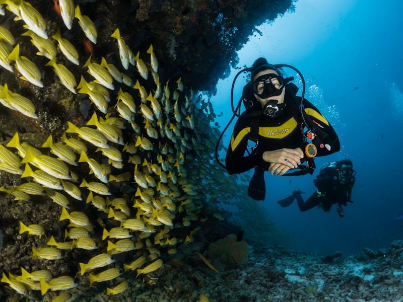 Diver underwater next to tropical fish